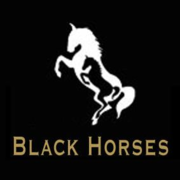 (c) Blackhorses.nl